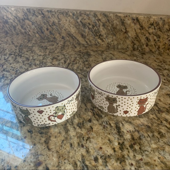 Homegoods Other - Set of 2 Ceramic Pet Bowls